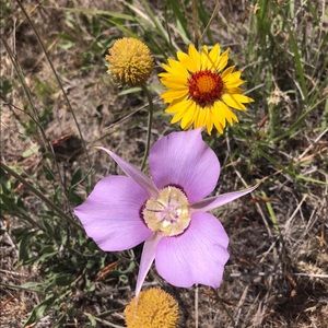 Meet your Posher, Nadia